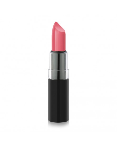 Vision Lipstick 103