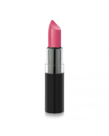 Vision Lipstick 104