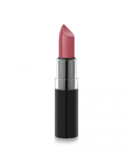 Vision Lipstick 105