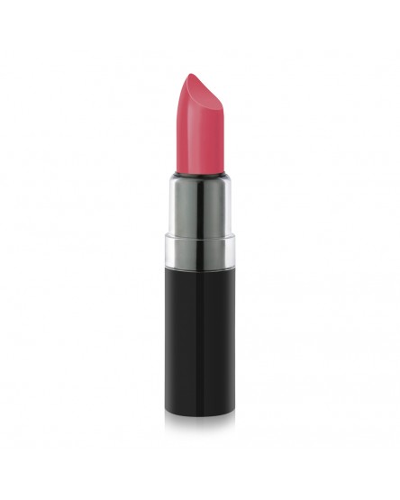 Vision Lipstick 110