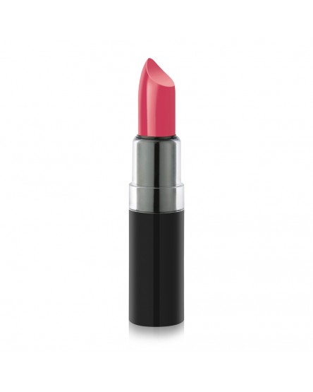 Vision Lipstick 116