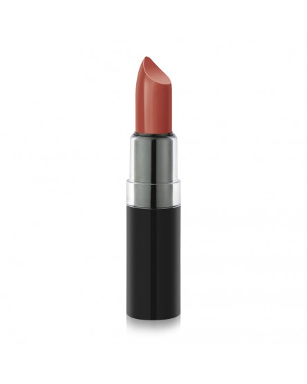 Vision Lipstick 123