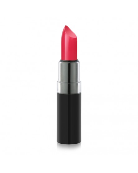 Vision Lipstick 134